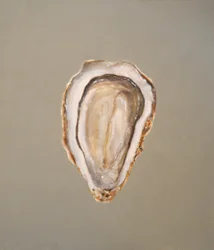 Ostra bretona 1